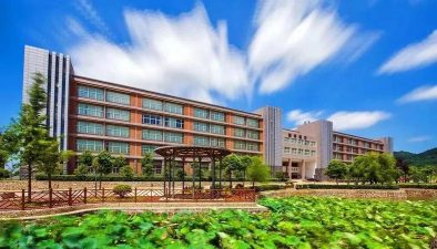 武汉工程科技学院