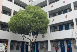 周口市第八初级中学