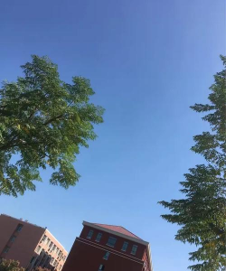 济南市育贤中学