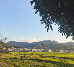 邵东县石株桥乡铁塘中学