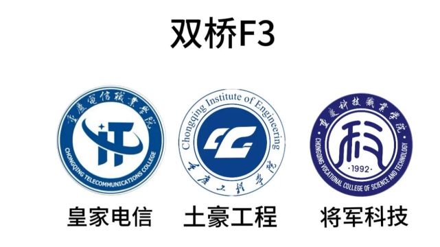 重庆电信职业学院单招