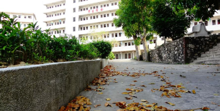 化州市实验中学