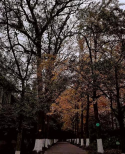 丽水职业技术学院