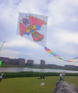 桃园县立大园国中