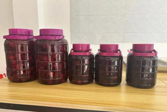 桃园县立杨梅国中