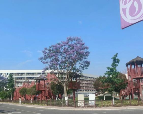四川文化艺术学院