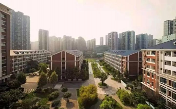 重庆徐悲鸿中学