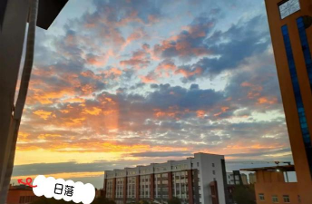 河南工业和信息化职业学院