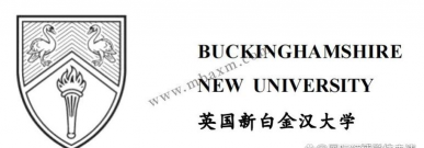 新白金汉大学