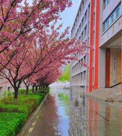 甘肃幼儿师范学校