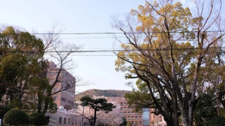 知山大学