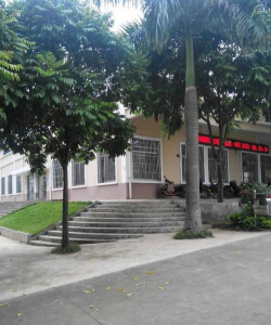武鸣县锣圩高级中学