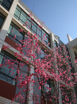 嵩明县第一中学