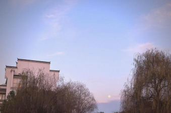 河池市科技职业技术学校