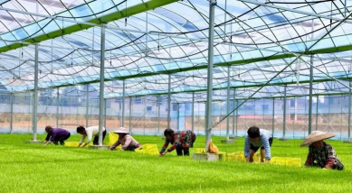 山东省烟台粮食学校