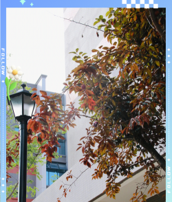 绵阳高级技工学校