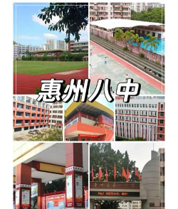 八中