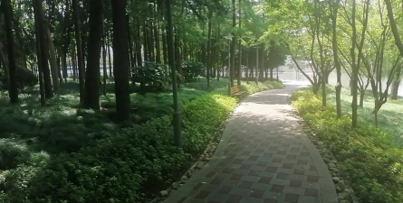 上海科学技术职业学院