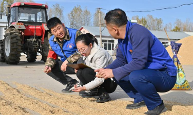 捂桐河农场中学