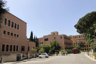 威罗都会学院