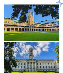 新诺丁汉学院