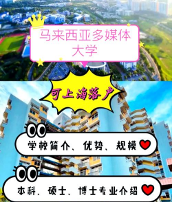 多媒体大学