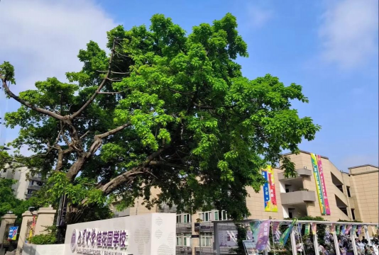 南宁市华佳学校