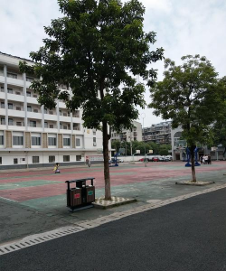 桂林市第十七中学