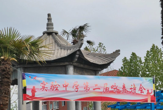安徽省阜阳实验中学