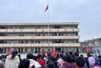 阜阳市颍东区插花镇二学区闸南中学