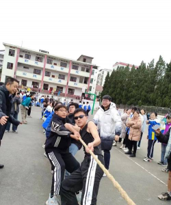 双凤中学