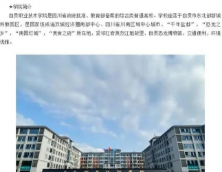 自贡市飞鱼职业学校