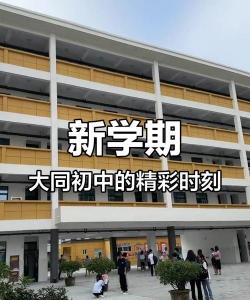 洪湖市大同湖大同初级中学环境