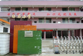 乐昌市白石镇中心学校环境