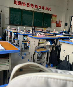 洪湖市翰林中学环境