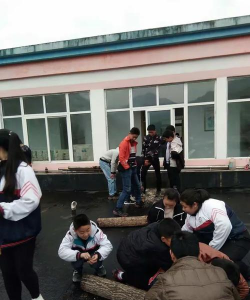 甘肃省康县铜钱九年一贯制学校环境