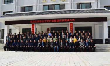 礼县王坝中学环境