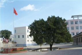 通渭县李店中学环境