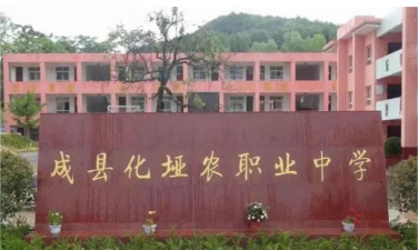成县化垭农职业中学