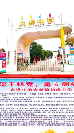 五河县大新镇中学环境