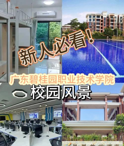 广东碧桂园职业学院环境