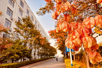 青岛园林技工学校环境