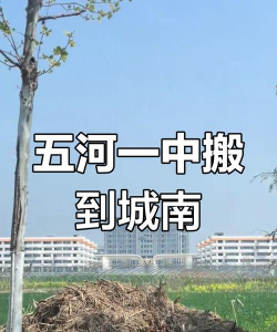 五河一中环境