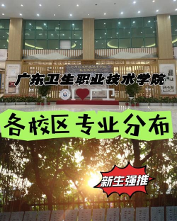 广东卫生学校环境