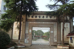 临澧县官亭乡中学环境