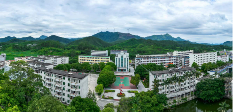 马山县周鹿中学环境