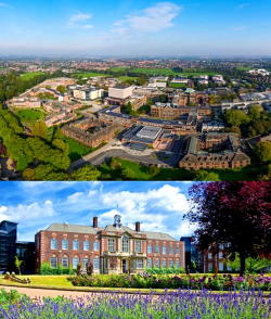 赫尔大学