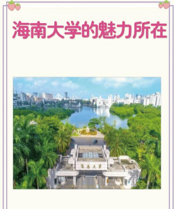海南大学环境