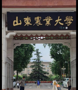 山东农业大学环境