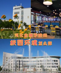 河北金融学院环境